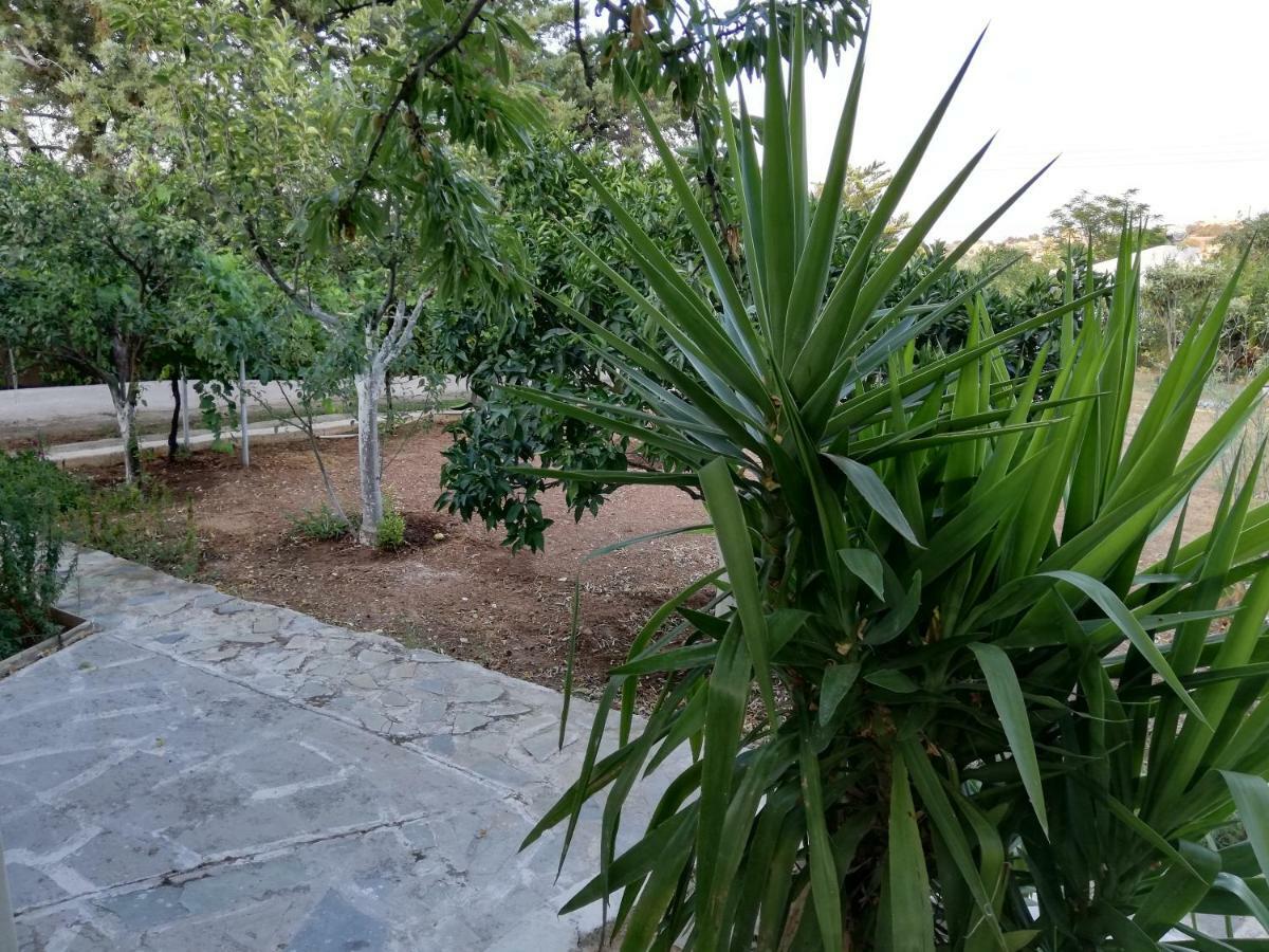 Dreamhome -10Min From Airport- Αρτέμιδα Εξωτερικό φωτογραφία